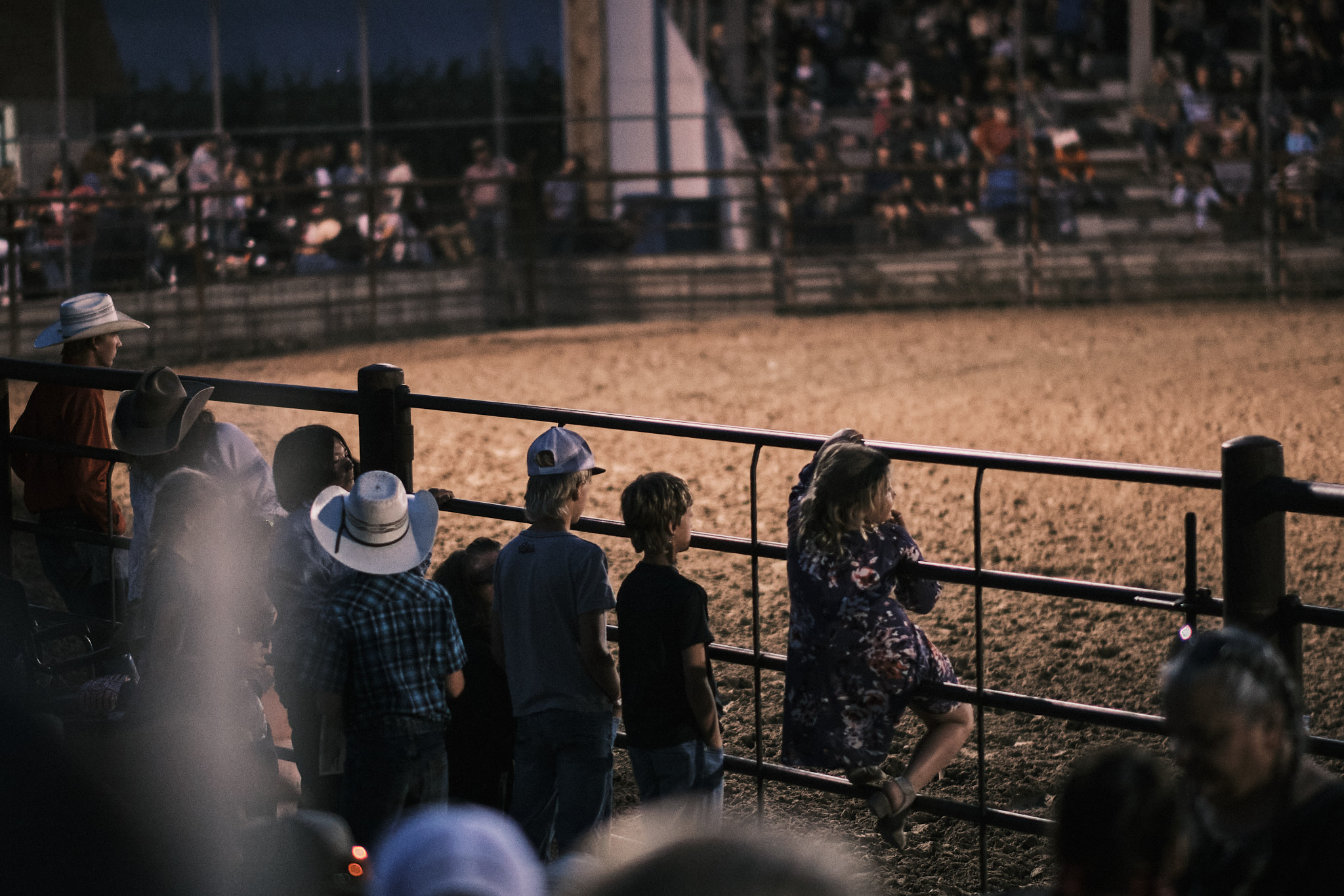 A group of kids looking at the arena