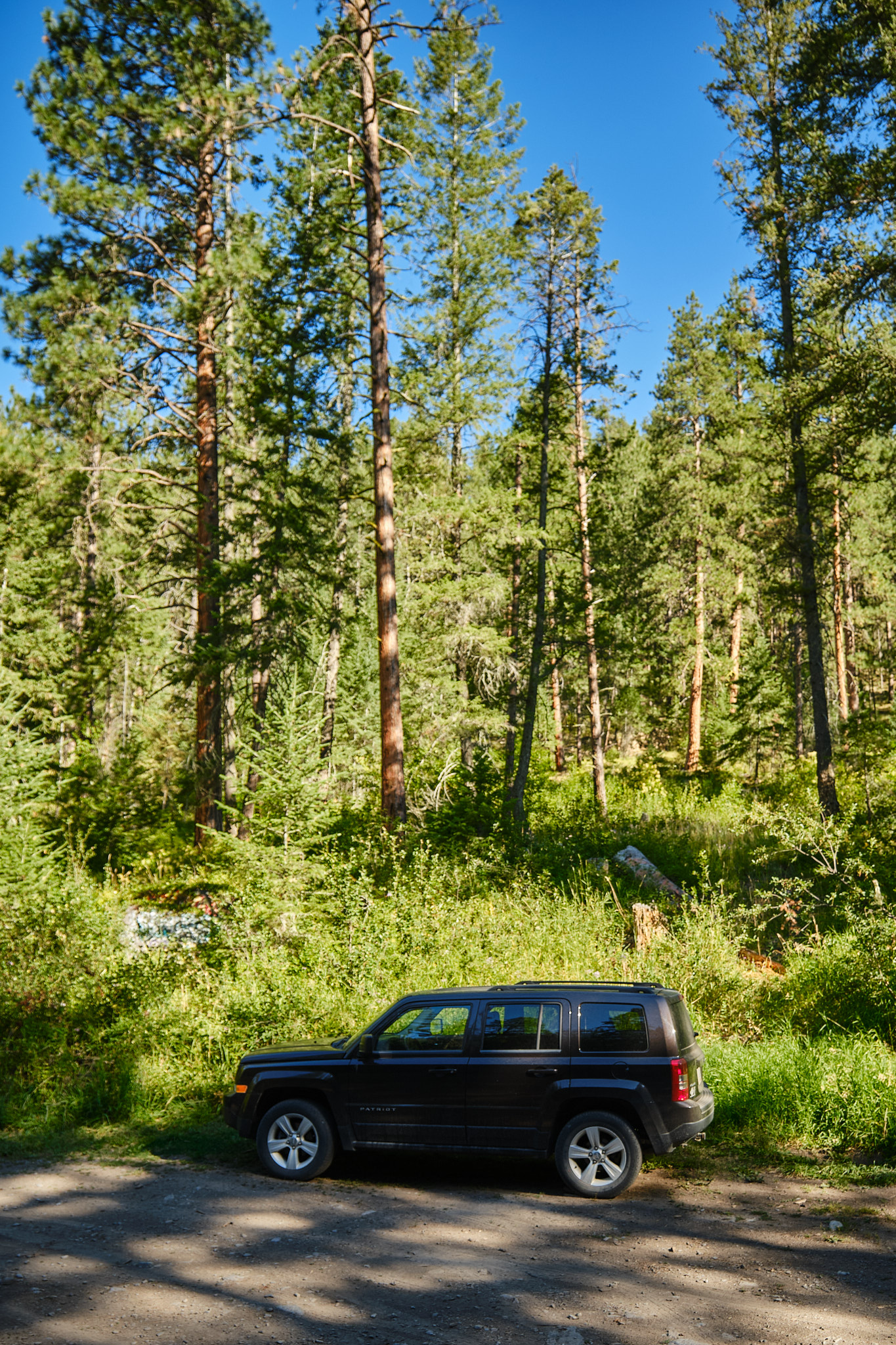 My Jeep Patriot parked at a trailhead deep in the Montana mountains, tall trees shooting up into the sky