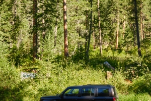 My Jeep Patriot parked at a trailhead deep in the Montana mountains, tall trees shooting up into the sky