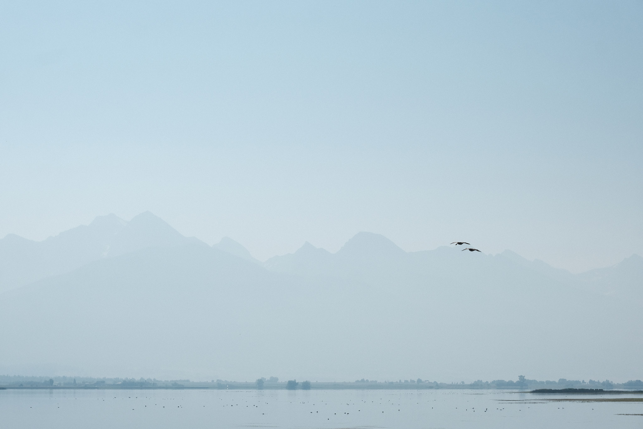 landscape of the mission mountains taken from ninepipes reservoir during mid-morning, the sky thick with smoke, a pair birds flying from right to left