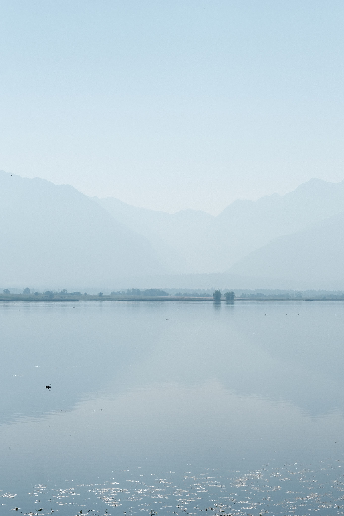 portrait landscape of the mission mountains taken from ninepipes reservoir during mid-morning, the sky thick with smoke, a solitary goose swimming on the water