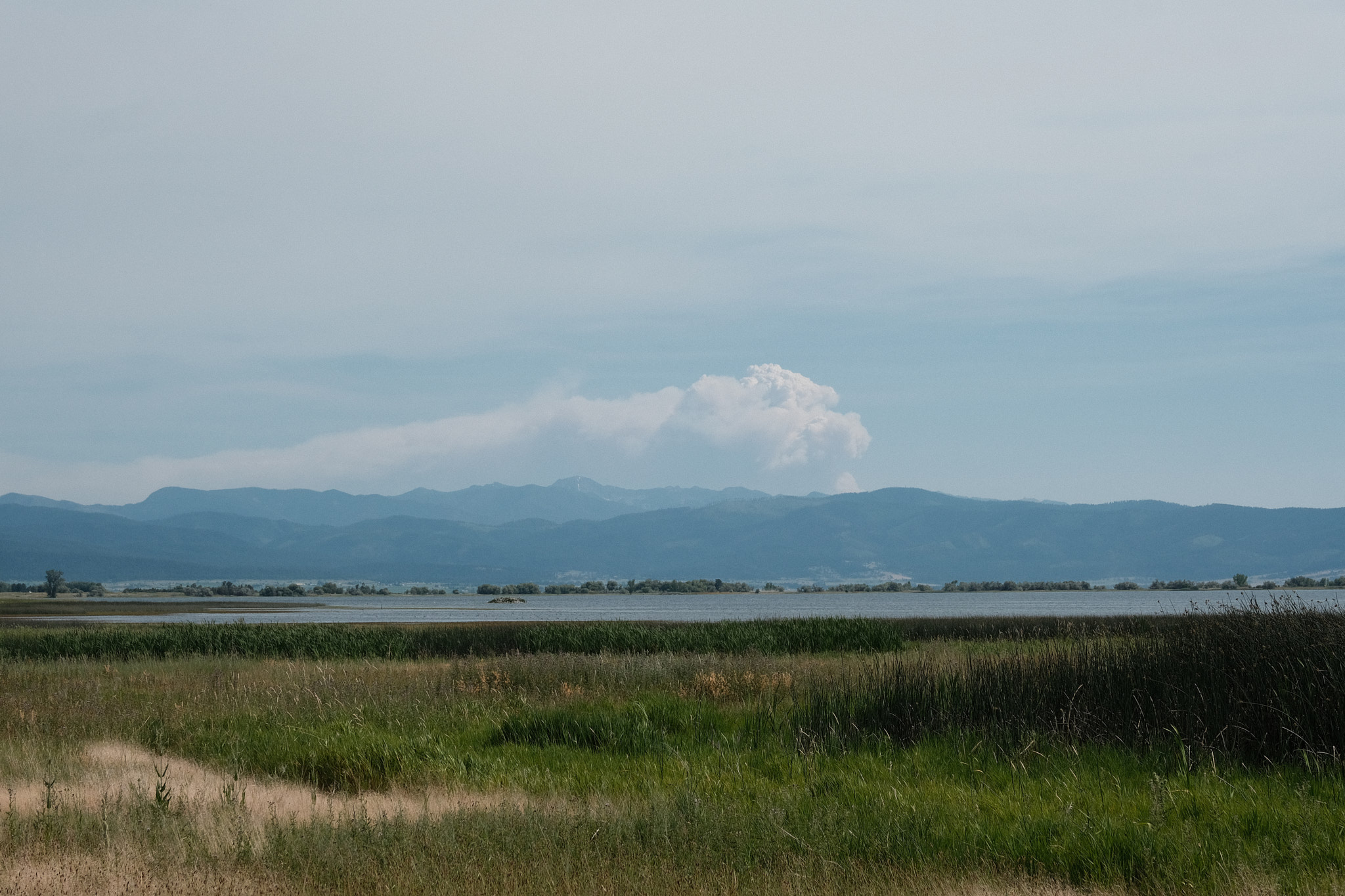 a large plume of smoke from the Miller Peak fire looking south toward Missoula from Ninepipes reservoir