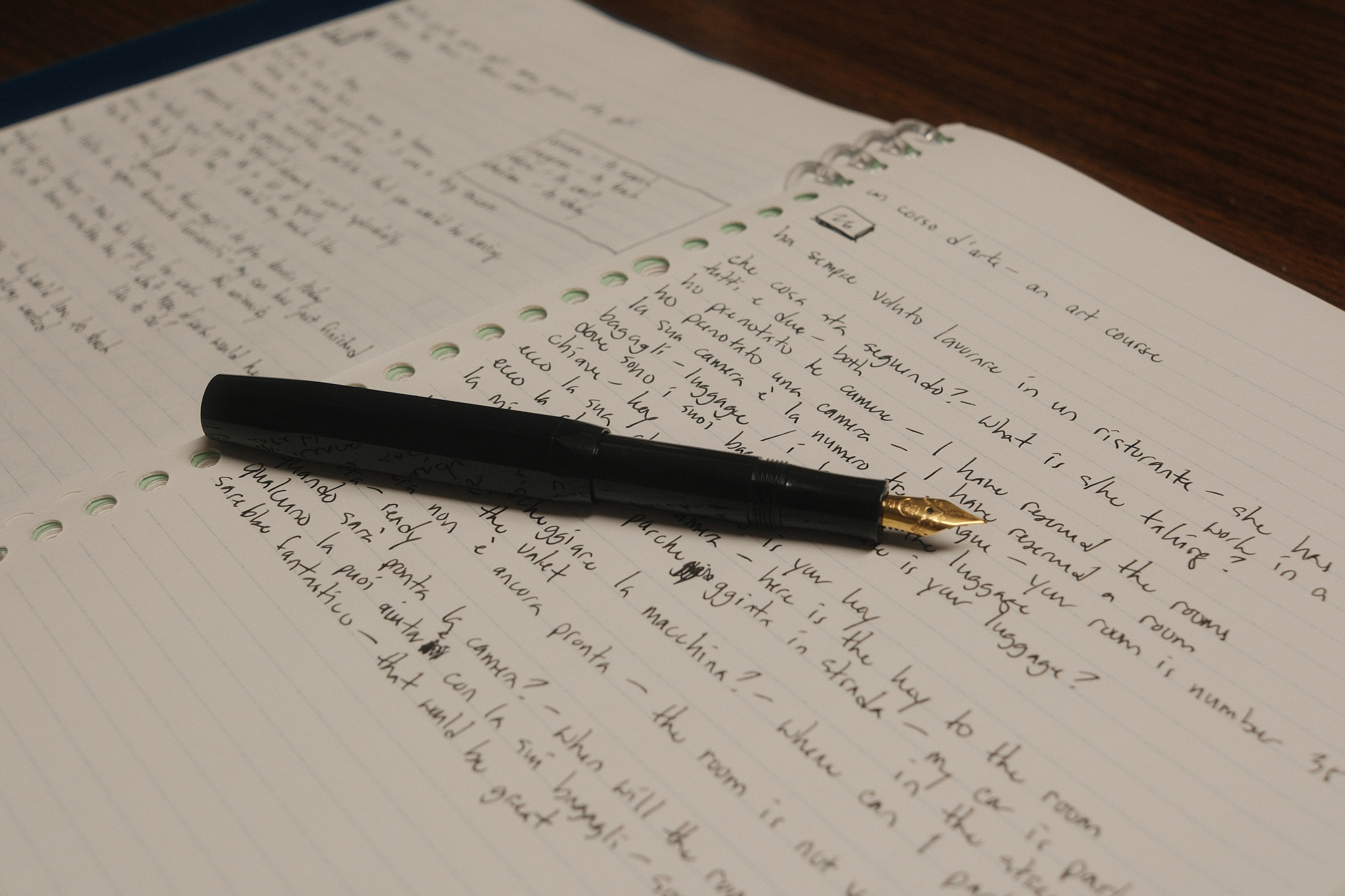 a couple of notebook pages with Italian language study notes written in black ink with a fountain pen, the pen lying flat and uncapped over the pages, the golden nib facing the camera